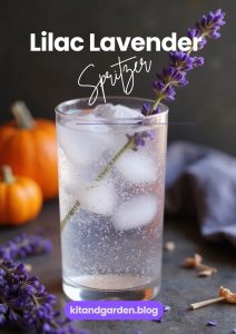 A clear lavender spritzer with Prosecco in a glass, garnished with lavender sprigs